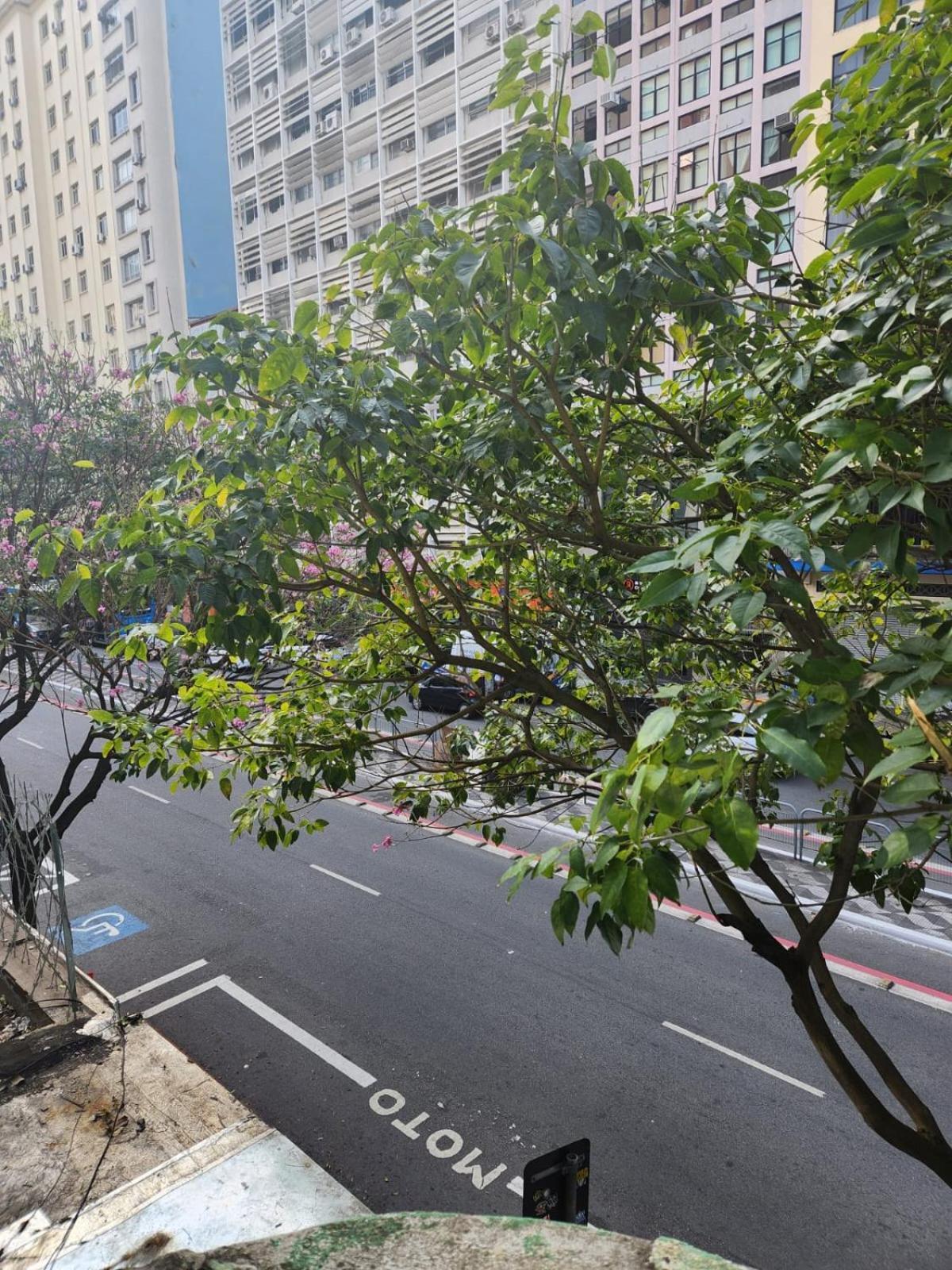 Fujima Hostel São Paulo Kültér fotó